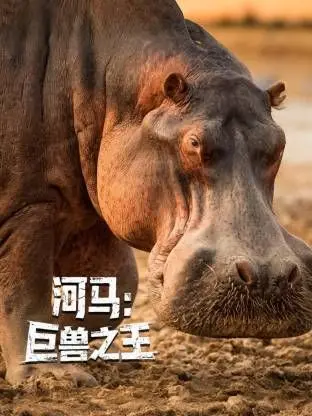 《河马：巨兽之王》：史前巨兽觉醒，一场惊险刺激的生存之战！